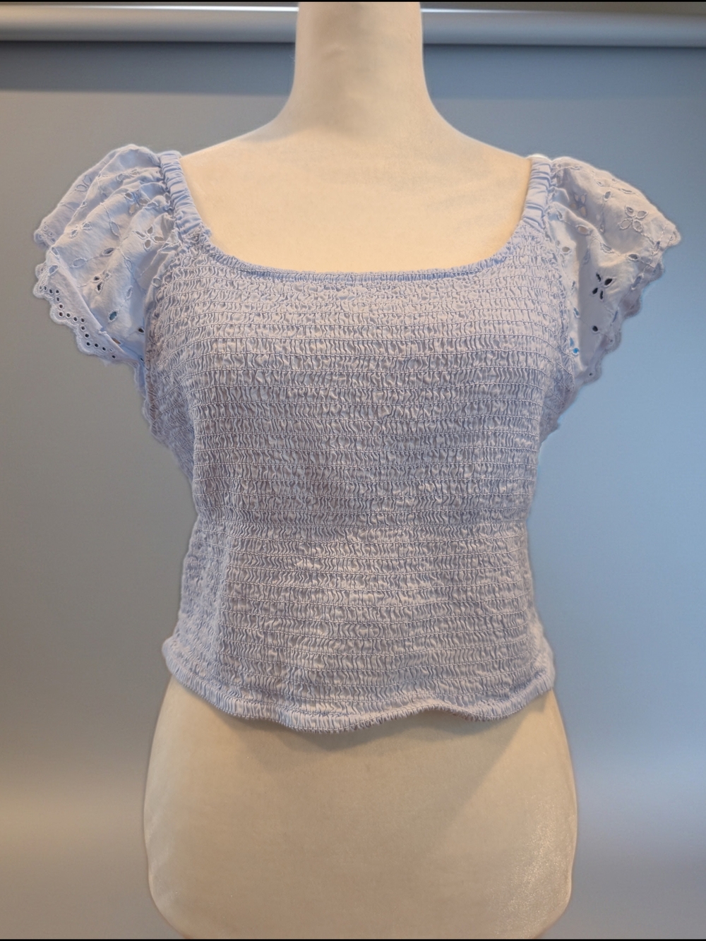 Universal Thread Light Blue Smocked Square-Neck Eyelet Sleeve Crop Top